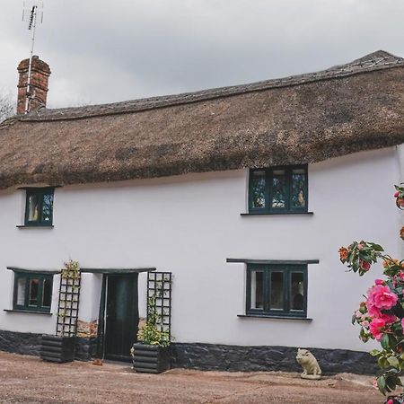 'The Cottage' Okehampton Dış mekan fotoğraf