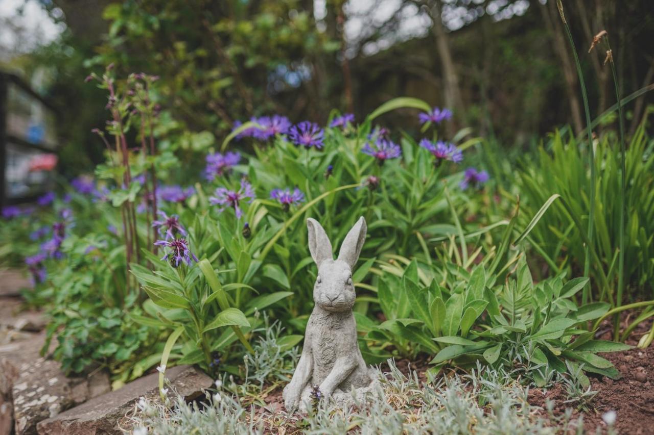 'The Cottage' Okehampton Dış mekan fotoğraf