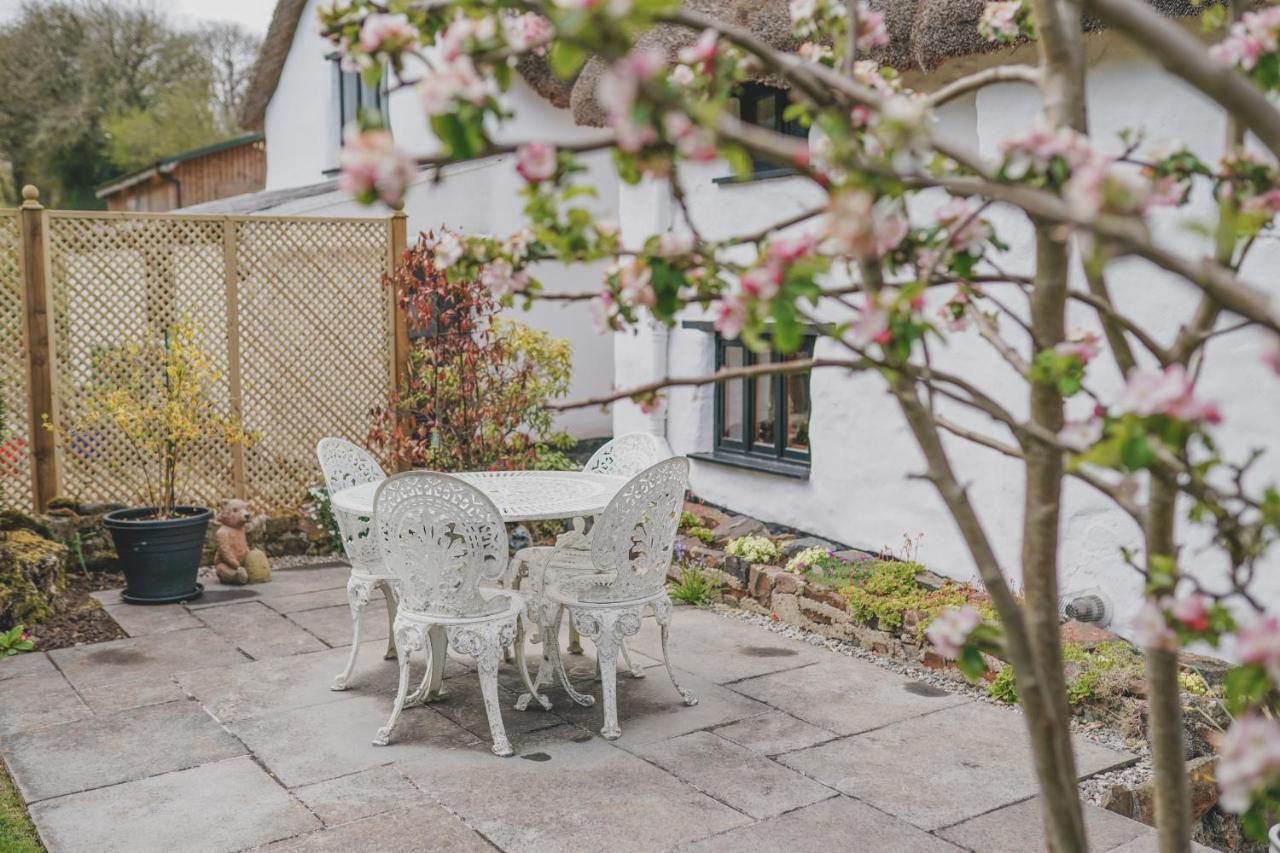 'The Cottage' Okehampton Dış mekan fotoğraf