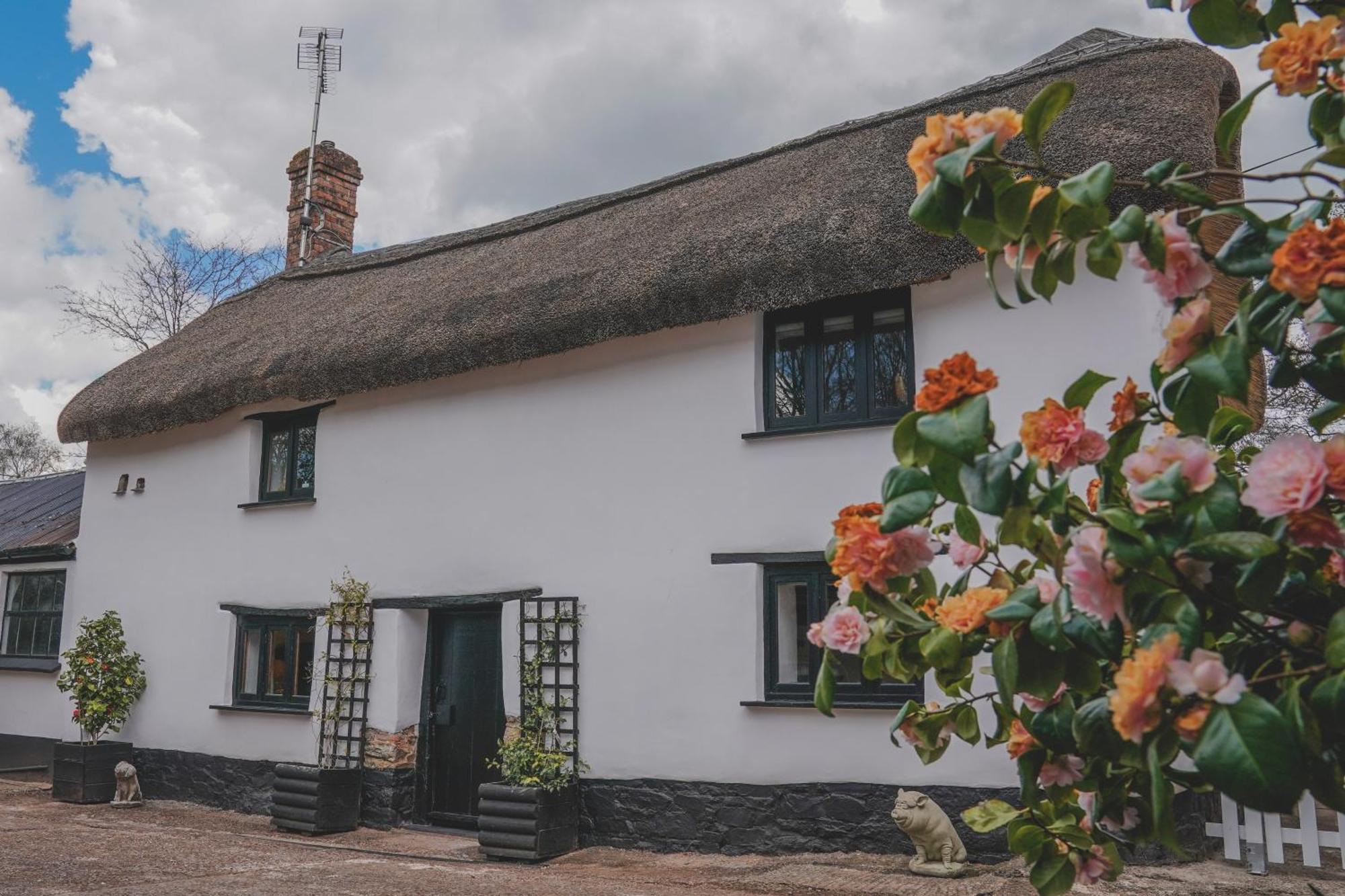 'The Cottage' Okehampton Dış mekan fotoğraf